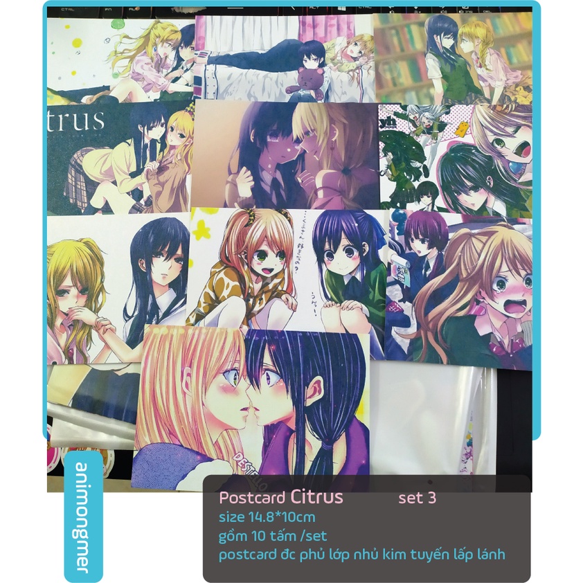Postcard bưu thiếp Citrus