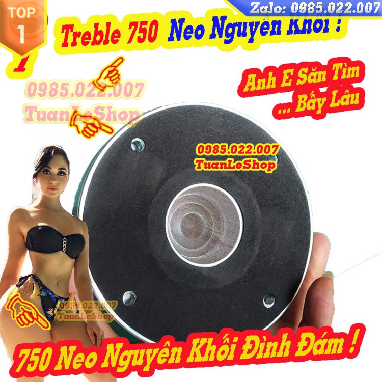 LOA TREBLE 750 NEO NGUYÊN KHỐI - COIL 74,5MM – GIÁ 01 CỦ TREBLE  - TREP 750 NEO R C F