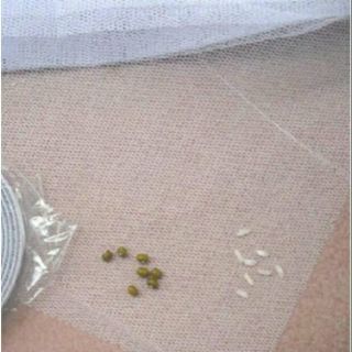 Lưới chống muỗi cho cửa sổ chất lượng