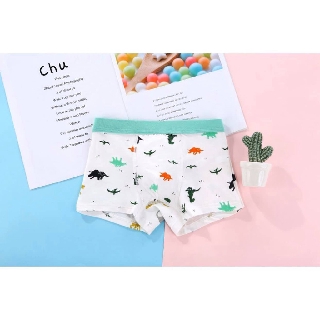 Set 3 quần đùi boxer Hàn Quốc mẫu Phi Công MRPDPD
