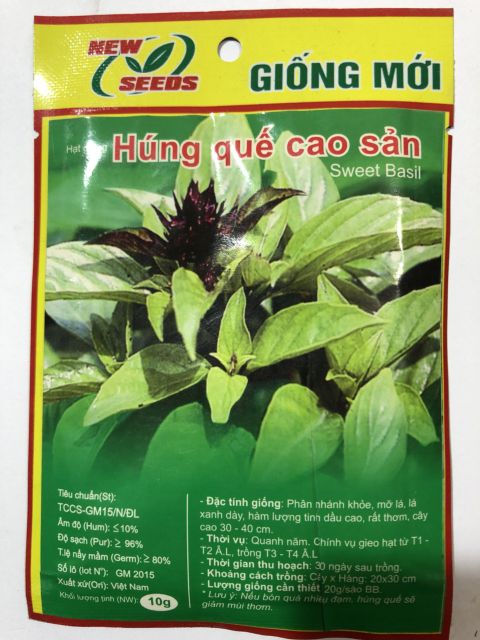 Hạt Giống Rau Thơm Húng Quế + Húng Bạc Hà