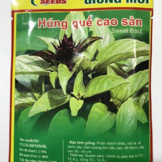 Hạt Giống Rau Thơm Húng Quế + Húng Bạc Hà