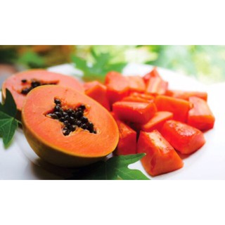 Hạt giống Đu Đủ Siêu Trái Thái Lan