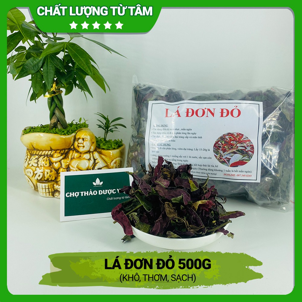 [Giá Sỉ] 500gr Lá Đơn Đỏ (Khô, Thơm, Sạch)
