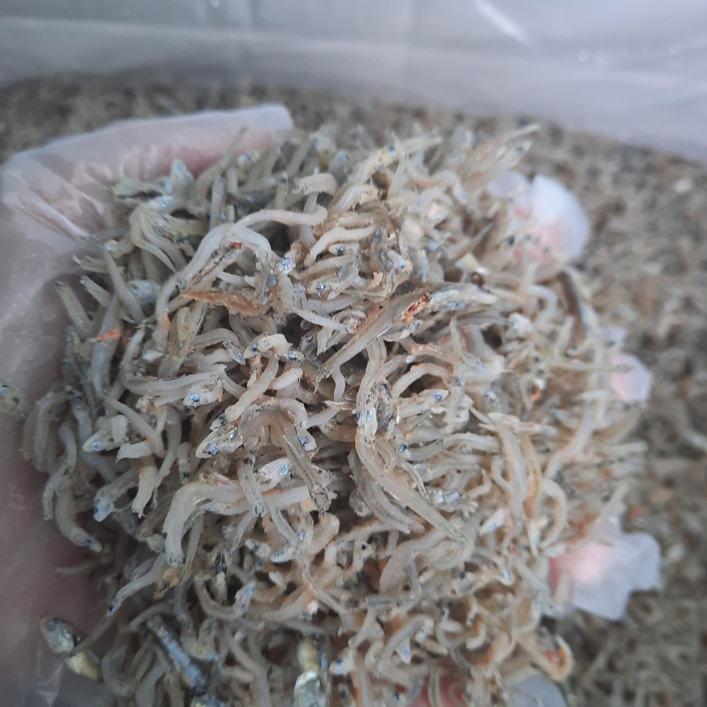 1kg Cá cơm mồm. Cá cơm mờm sữa