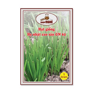 Hạt giống Hẹ nhật cao sản GN 62