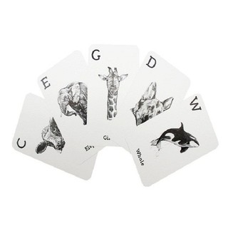 Bộ 46 thẻ học ANIMAL 4D cho bé - SPACE 4D