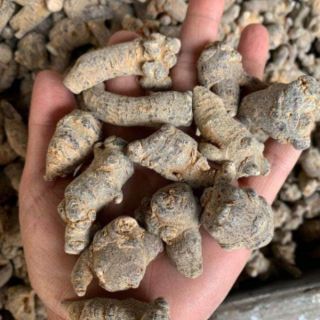 100gr Củ tam thất khô đặc sản Tây Bắc