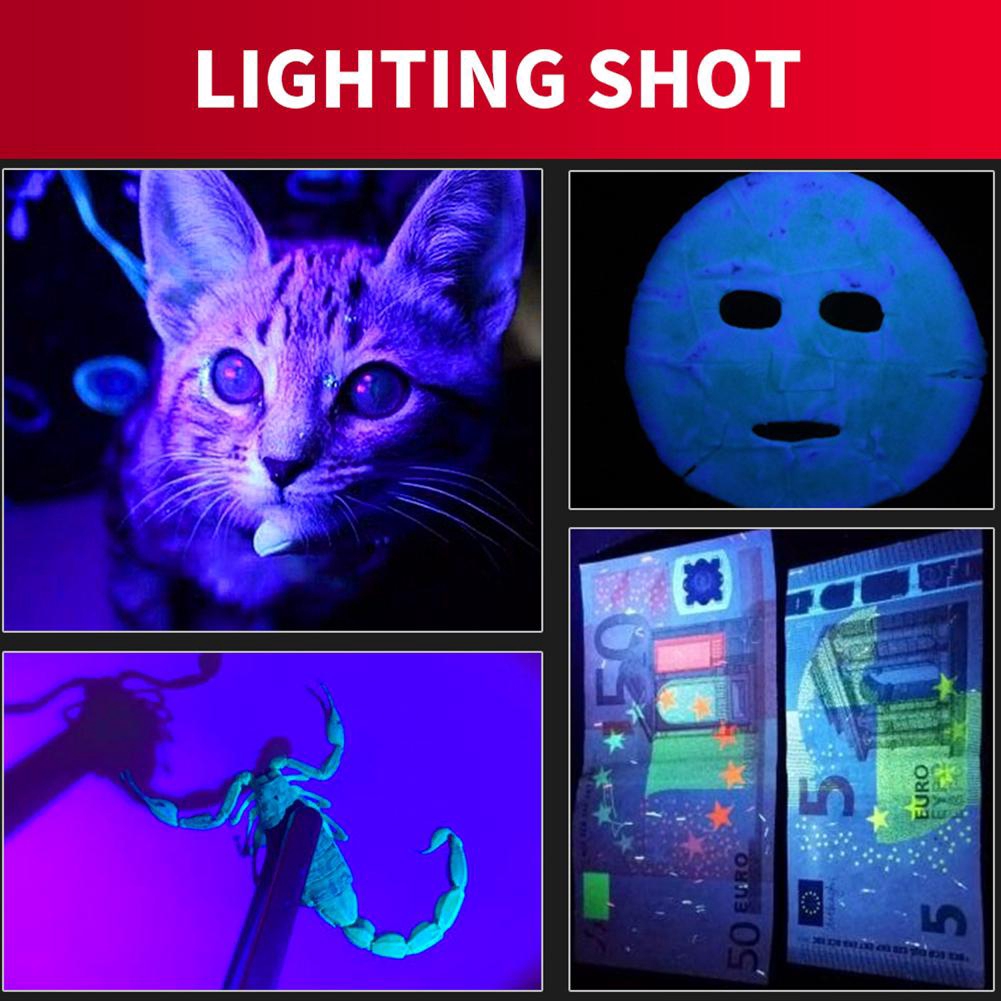 Đèn pin Flash Uv 395NM Led mini đa năng tiện lợi chất lượng cao