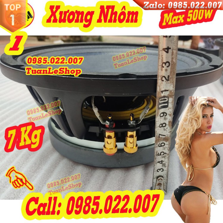 LOA BASS 25 NR TỪ 190 CÔN 75 – GIÁ 01 CỦ LOA 25