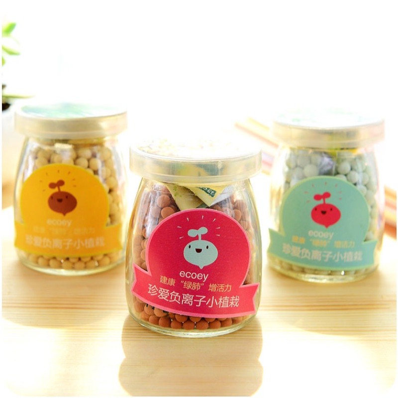 Bộ trồng cây mầm tưới nước tự nảy mầm | BigBuy360 - bigbuy360.vn