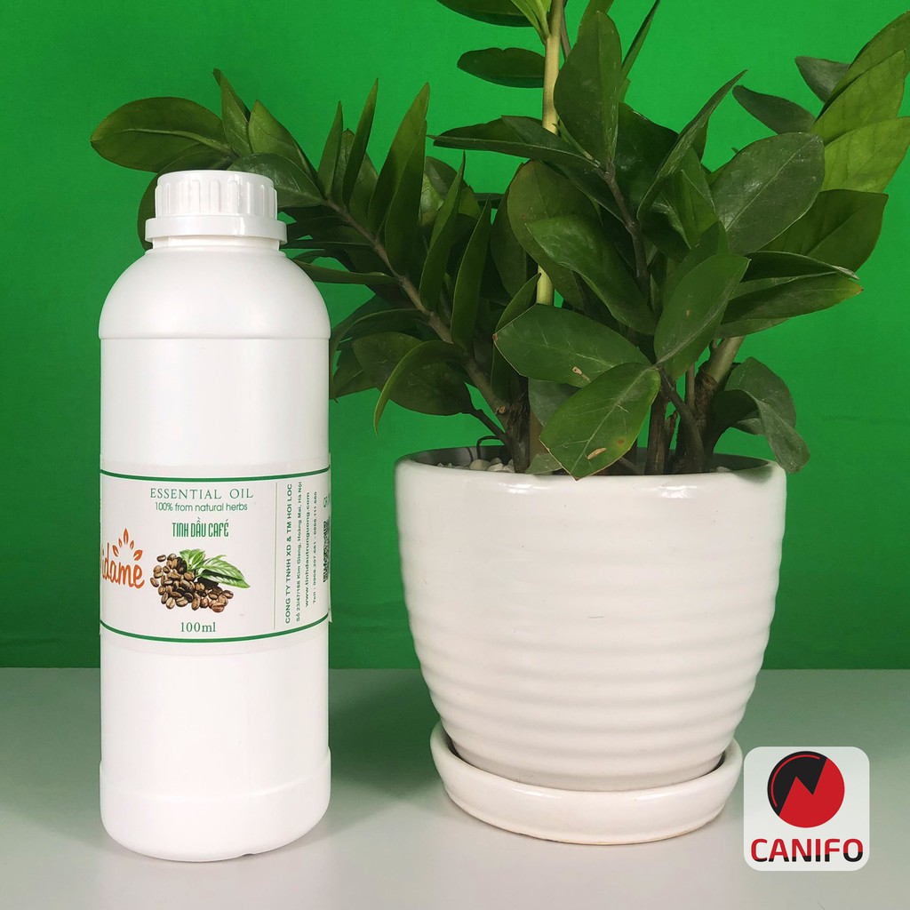 (1 lít) Tinh dầu cafe Canifo nguyên chất, Hàng chính hãng - Giá bán sỉ, Dùng cho lọ tinh dầu treo xe oto, đèn xông