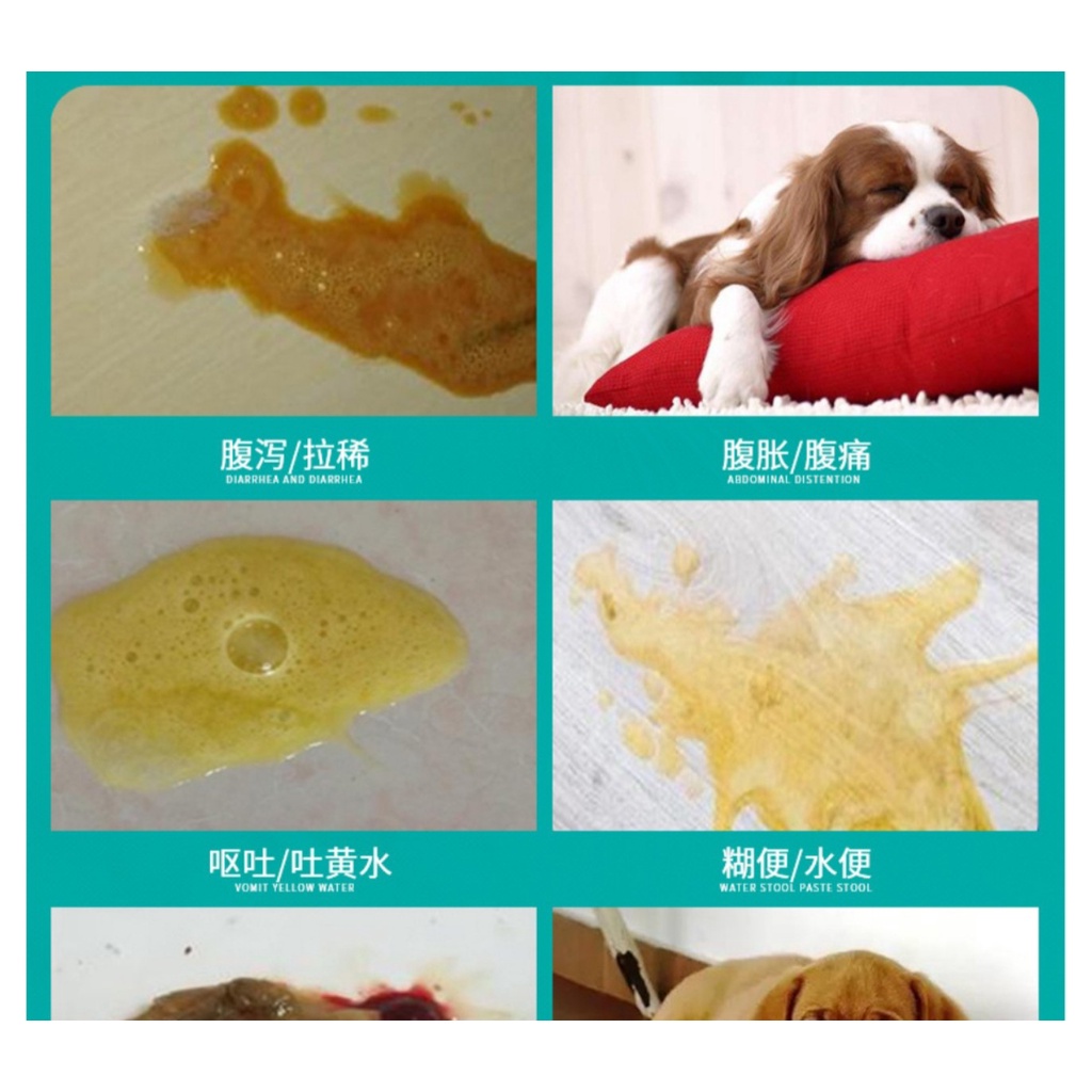 1 Hộp BISMUTH SUBCARBONATE  - Giải pháp cho chó mèo hết ói mửa ,tiêu chảy gây biếng ăn