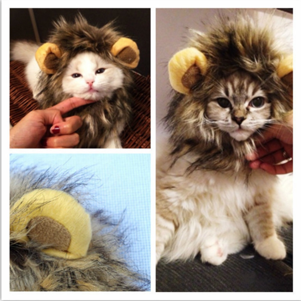 Bờm sư tử giả xinh xắn vui nhộn cho mèo sáng tạo dễ thương Tennessee052