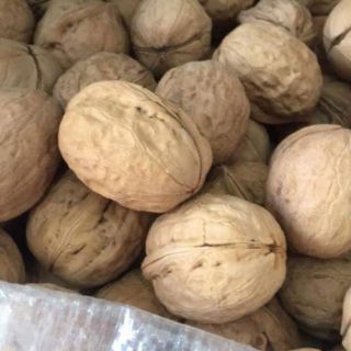 4,5kg quả óc chó sấy chín Sapa