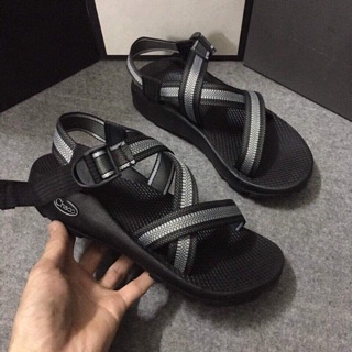 ChaCo nam mẫu mới