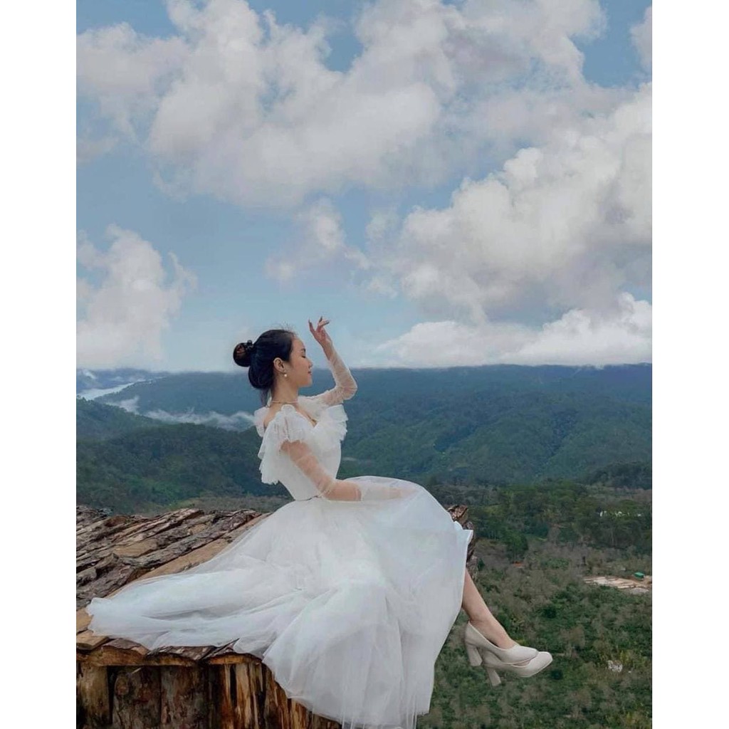 Áo Croptop Lưới Ren Công Chúa (TRẮNG)