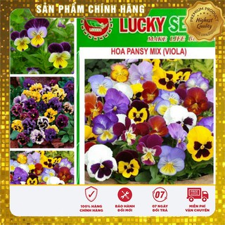 HẠT GIỐNG HOA PANSY MIX -LUCKY SEEDS