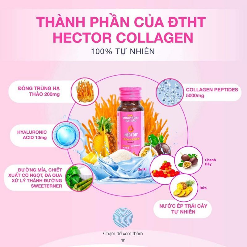 Nước Uống Đông Trùng Hạ Thảo HECTOR COLAGEN Combo 5 Chai - 50ml Hàng Chính Hãng