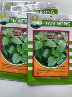 Hạt giống Rau Quế