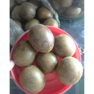 Set 10 quả La Hán