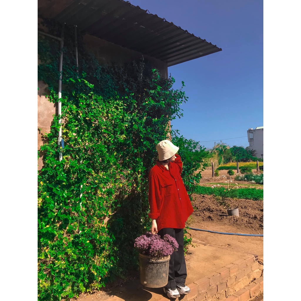 Áo sơ mi nhung tăm 2hand unisex nam nữ