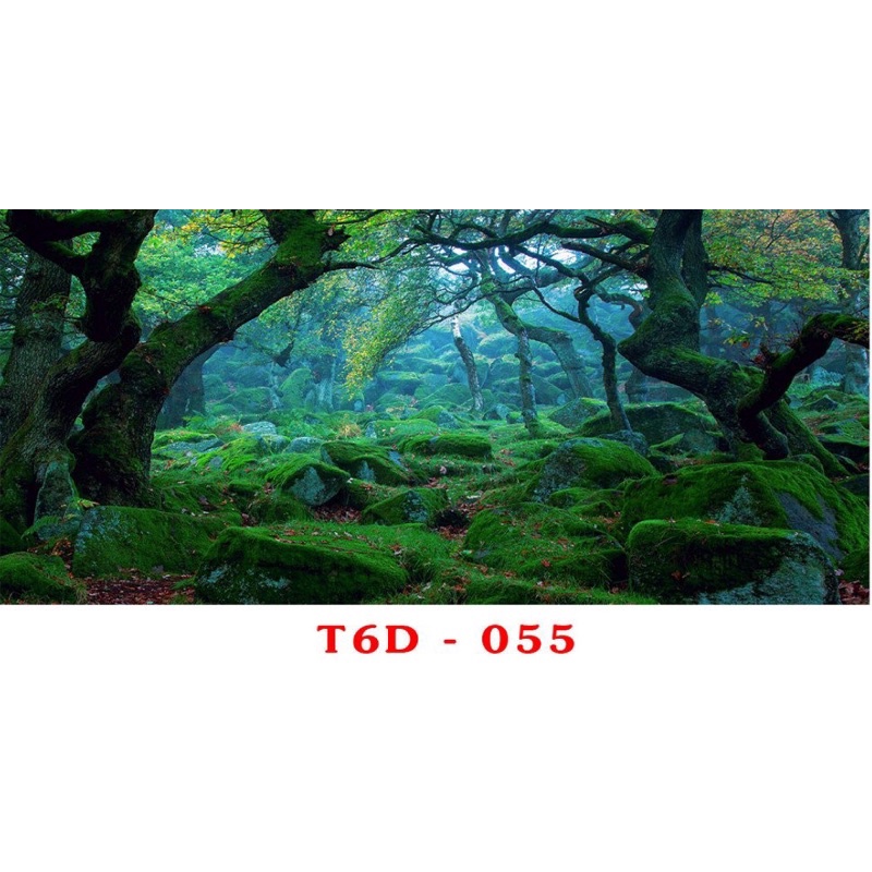 Tranh 3D trang trí hồ cá, bán cạn tiểu cảnh - chủ đề Đại dương xanh part 2