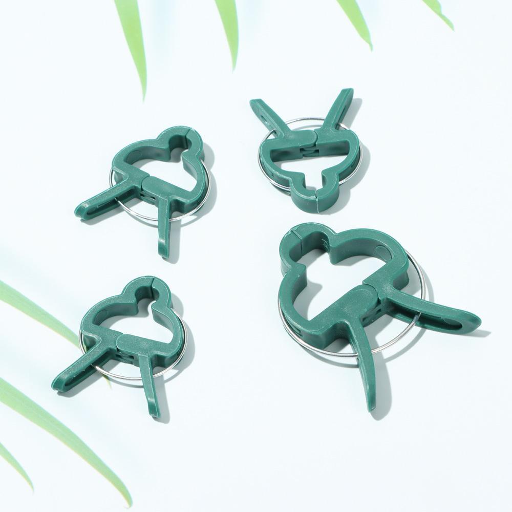 Kẹp Cố Định Cành Cây Lan / Cà Chua Chống Thời Tiết Tiện Dụng Cho Sân Vườn