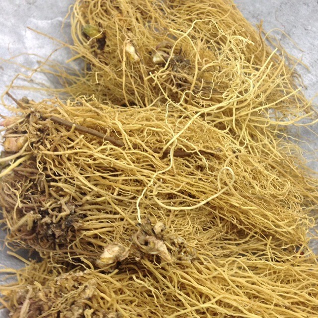 Tế tân khô đẹp 500g