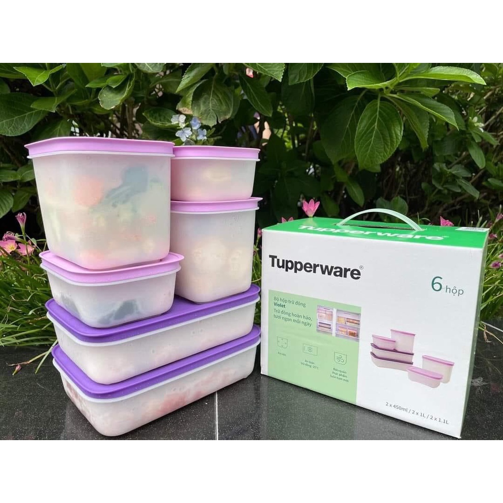 Hộp Trữ Đông cao cấp violet đông dẻo tupperware