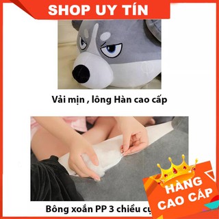 Chó Husky Bông, Chó Bông Huskey