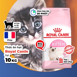 [Tải 10kg] thức ăn hạt Royal Canin Kitten 36 cho mèo con