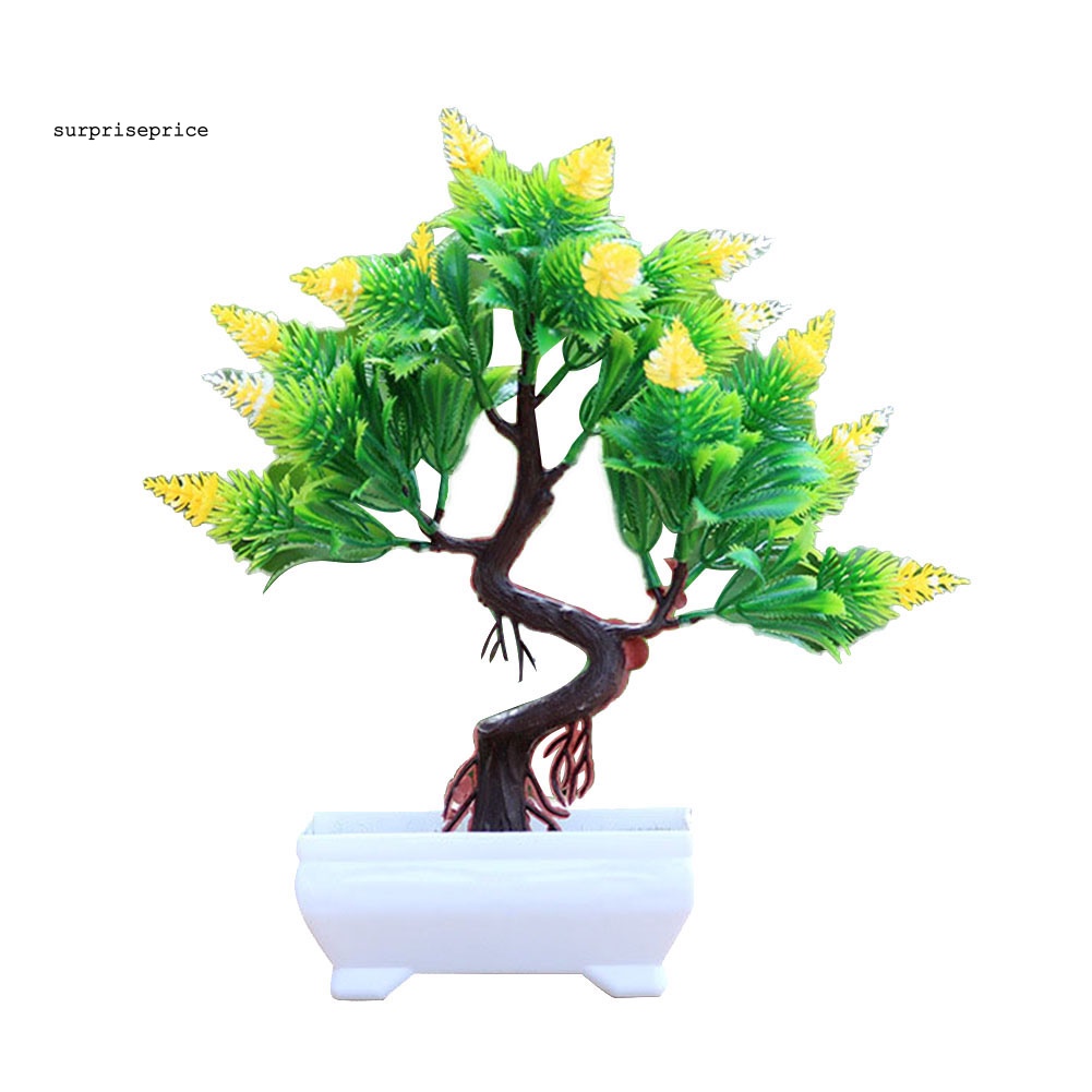 Chậu Cây Thông Nhân Tạo Để Bàn Trang Trí Nhà Cửa / Khách Sạn / Văn Phòng