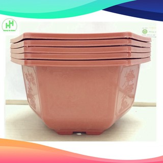 (SIÊU KHUYẾN MÃI) 5 Chậu Nhựa Lục Giác Trồng Hoa, Cây Cảnh Bình Thuận Bonsai 280x180
