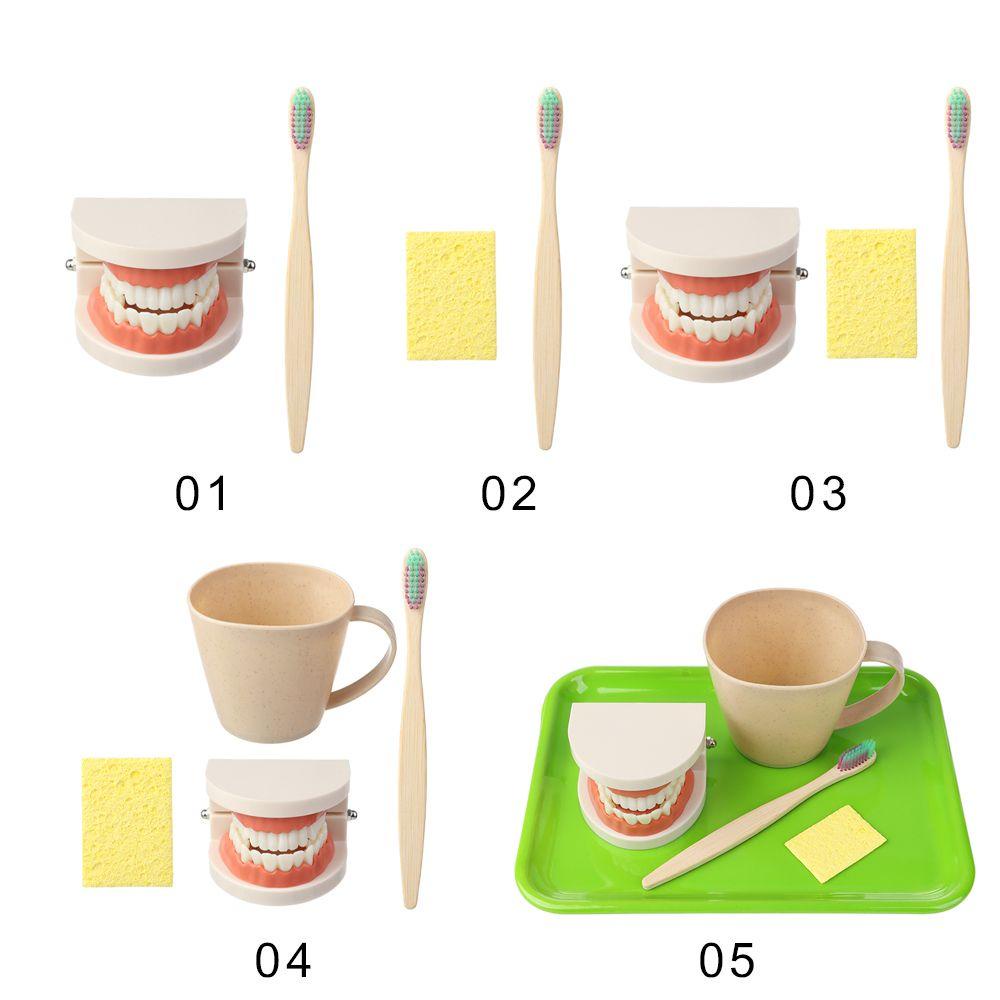 Layor1 Bộ Bàn Chải Đánh Răng Giúp Bé Học Theo Phương Pháp Montessori