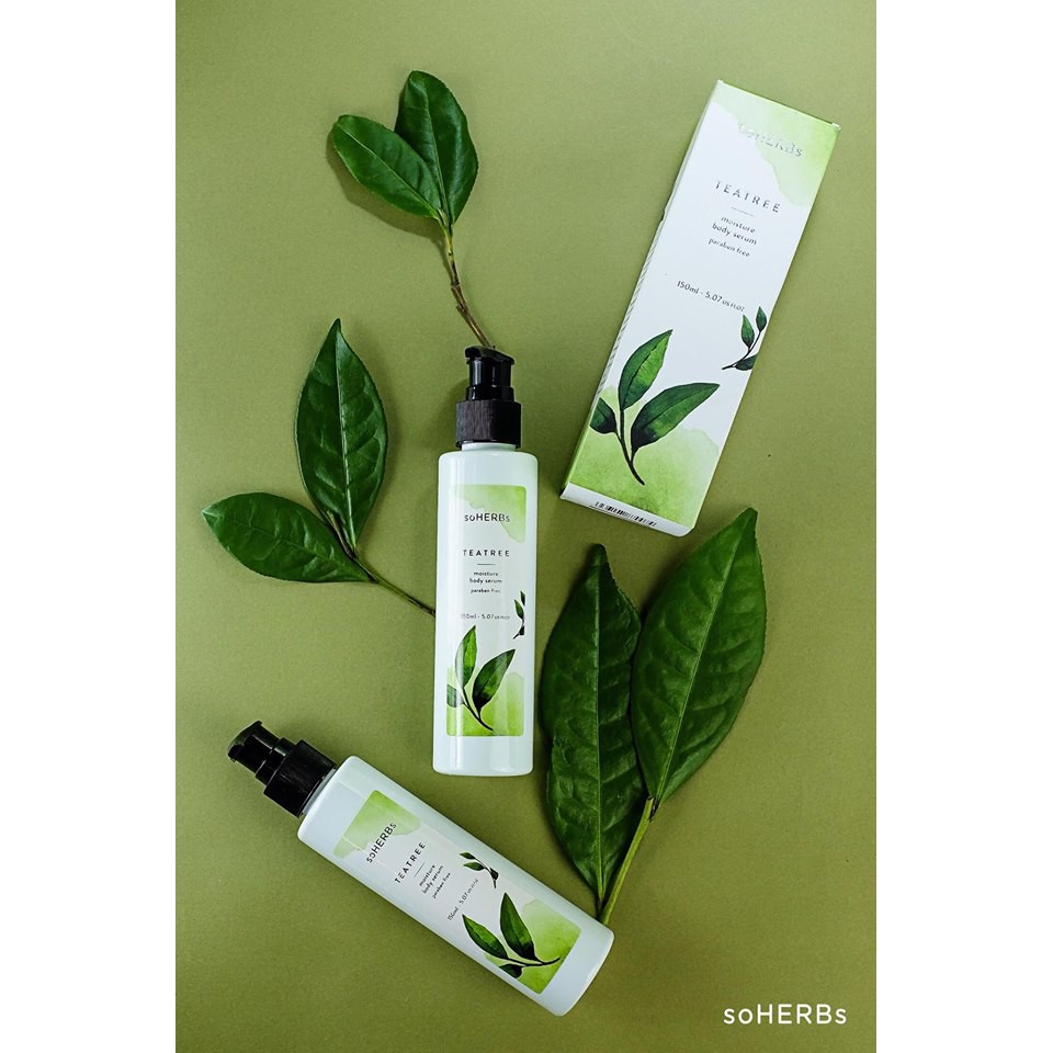 Serum BODY Trà Xanh soHERBS – Teatree Serum