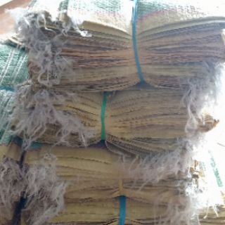 Combo 100 bao PP đựng gạo  5kg