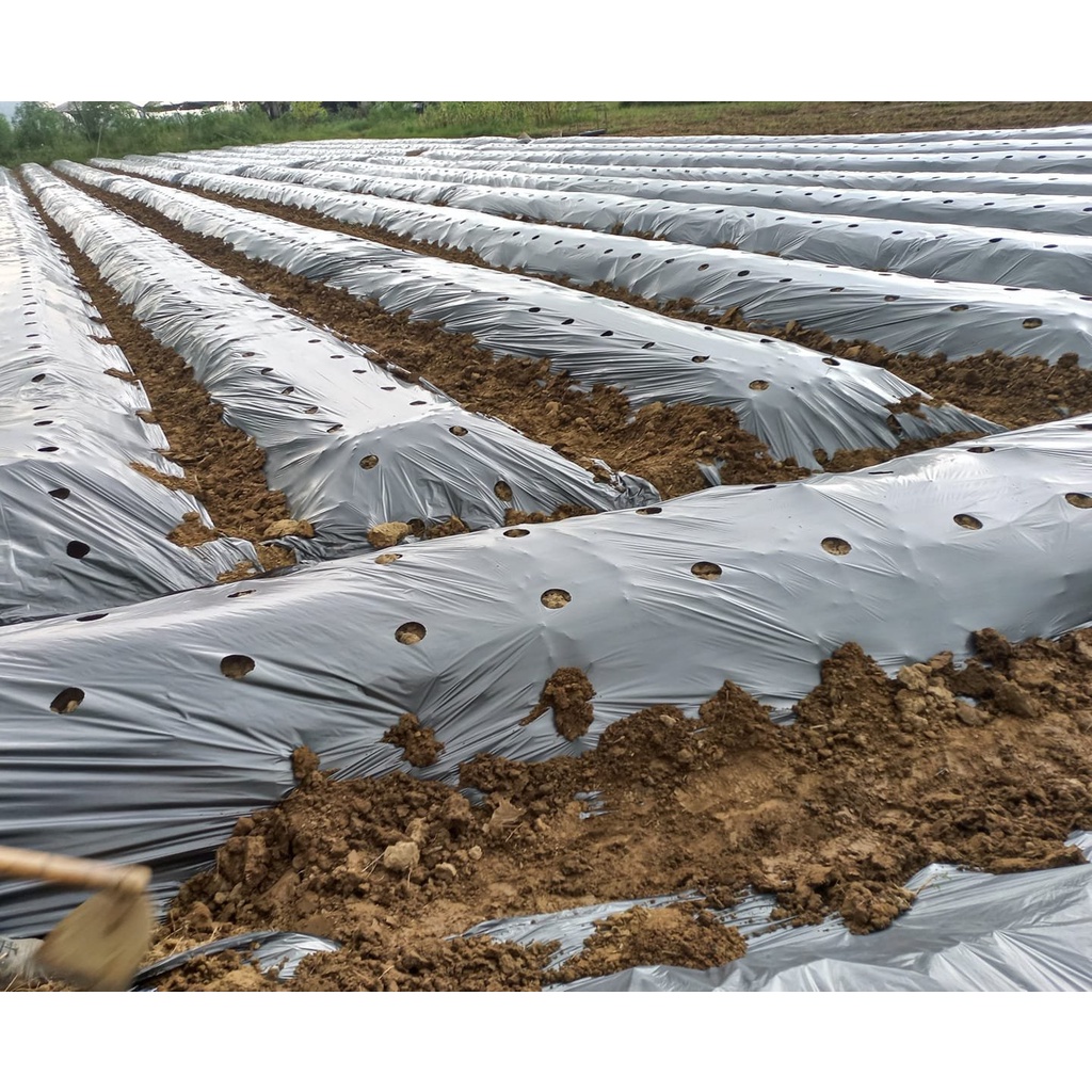 Màng phủ nông nghiệp 1m4 x 400m