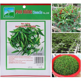 HẠT GIỐNG ỚT XIÊM 0.1gr