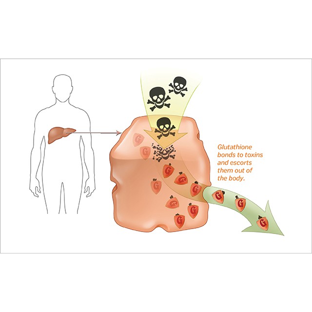 Viên uống trắng da nội sinh Glutathione Reduced 500mg - 60 viên | BigBuy360 - bigbuy360.vn