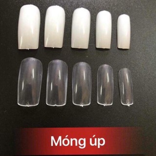 Móng up HSM màu đục(500 móng,10 size)
