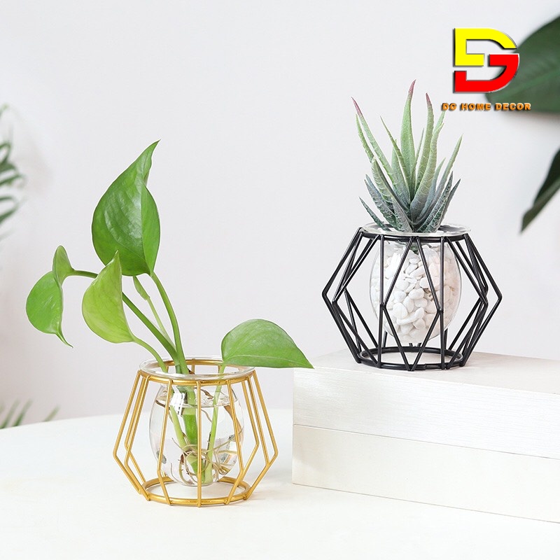 Bình Hoa Đẹp- Lọ Hoa Thuỷ Tinh Hình Khối Độc Đáo Phong Cách Bắc Âu Trang Trí Decor Nhà Cửa DG-47