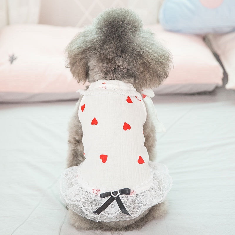 áo đầm ren xòe trái tim dành cho chó mèo