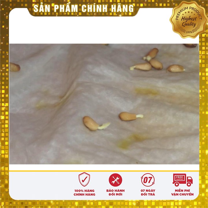 Hạt giống câu lựu lùn năng suất LUCKY SEEDS