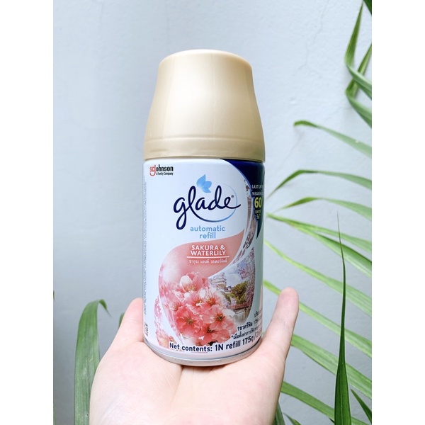 [Lõi]_Chai xịt phòng tự động Glade hương anh đào &amp; Lily 175g