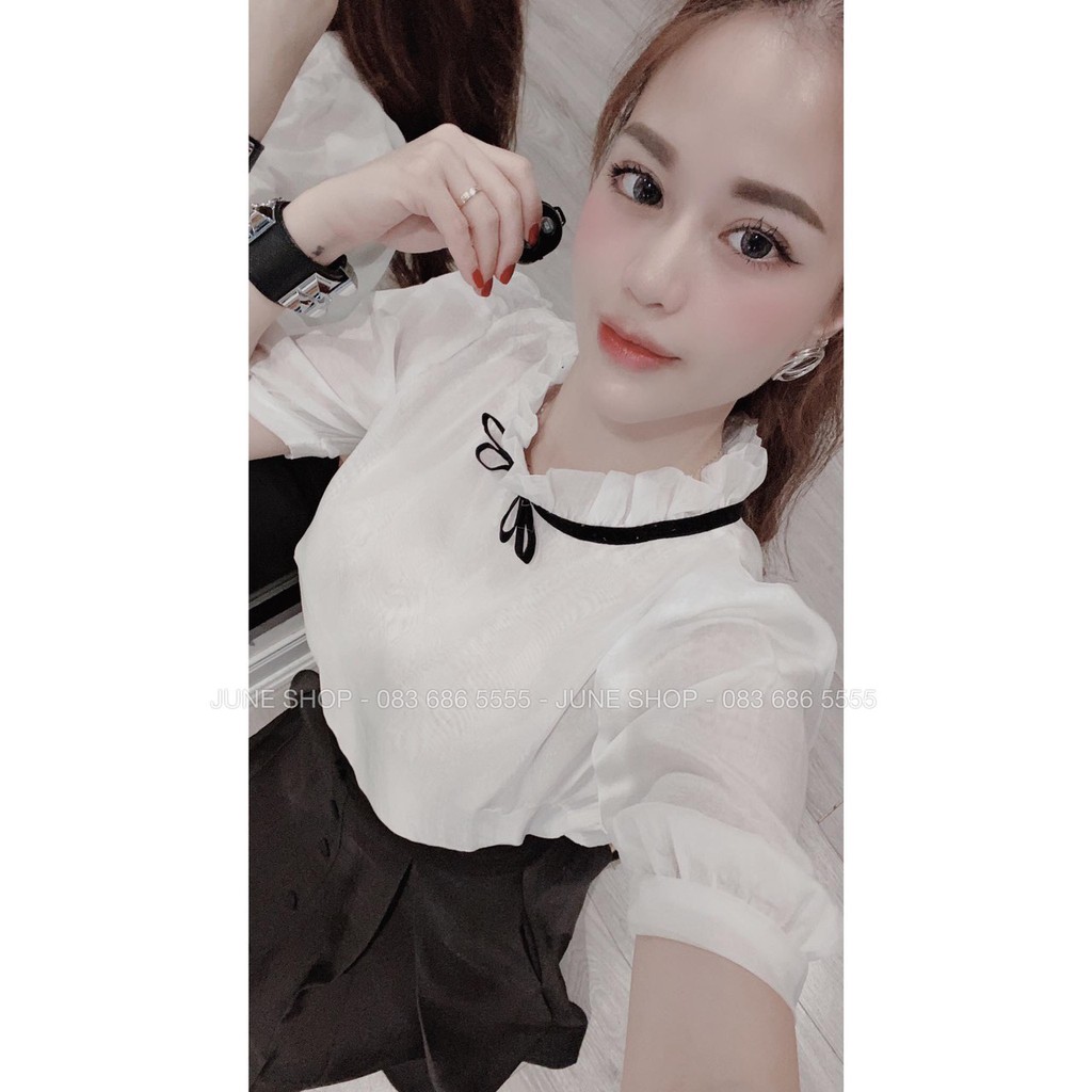 Set áo kiểu nơ + chân váy cúc xoè hottrends