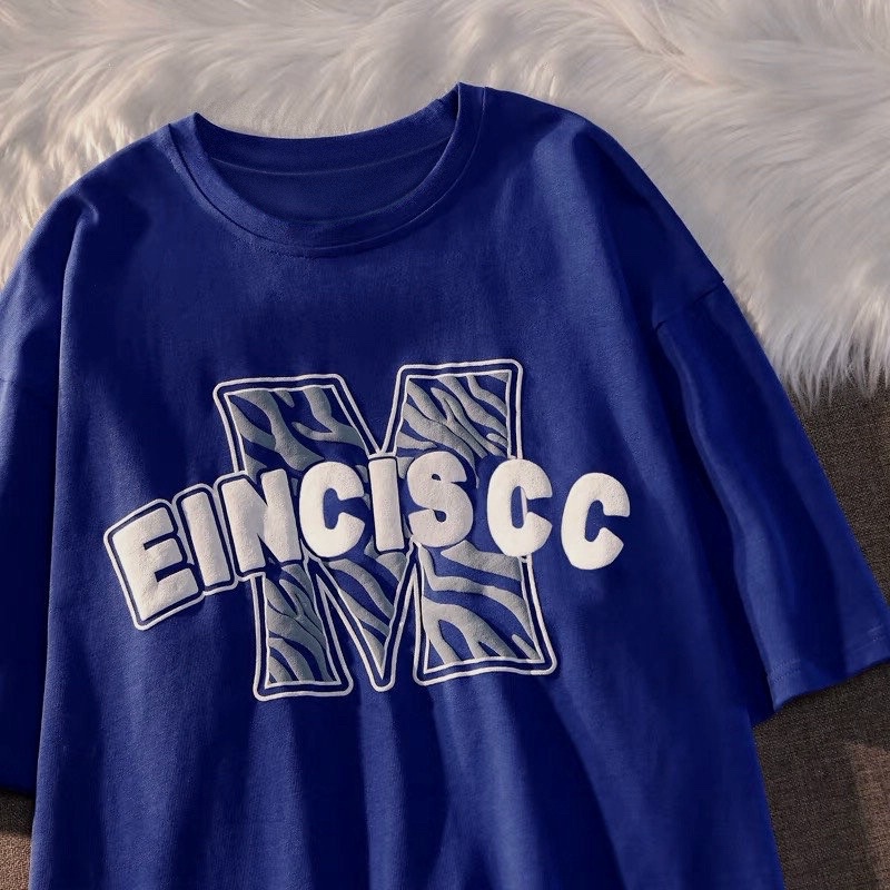 Áo phông nam nữ form rộng 2N Unisex thun cotton in chữ Einsicht trắng/xanh/hồng