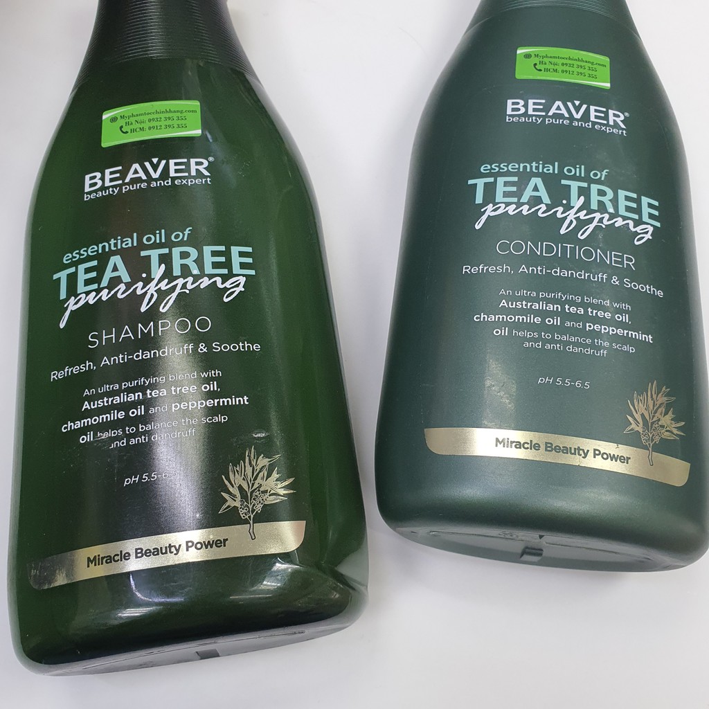 DẦU GỘI XẢ BEAVER TRÀ XANH TEA TREE CHỐNG RỤNG, TRỊ GAAUFF 750ML*2