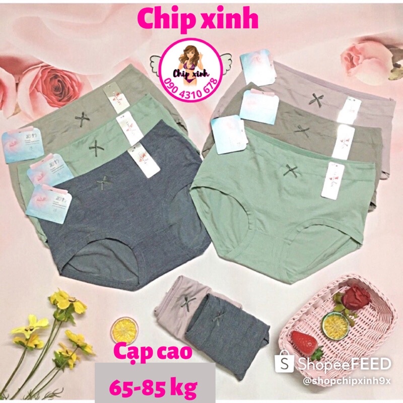 Quần Lót Nữ Cotton Big size Cạp Cao, Cạp Thấp Co Giãn, Mềm Mại, Thoải Mái Cao Cấp CHIP XINH SHOP