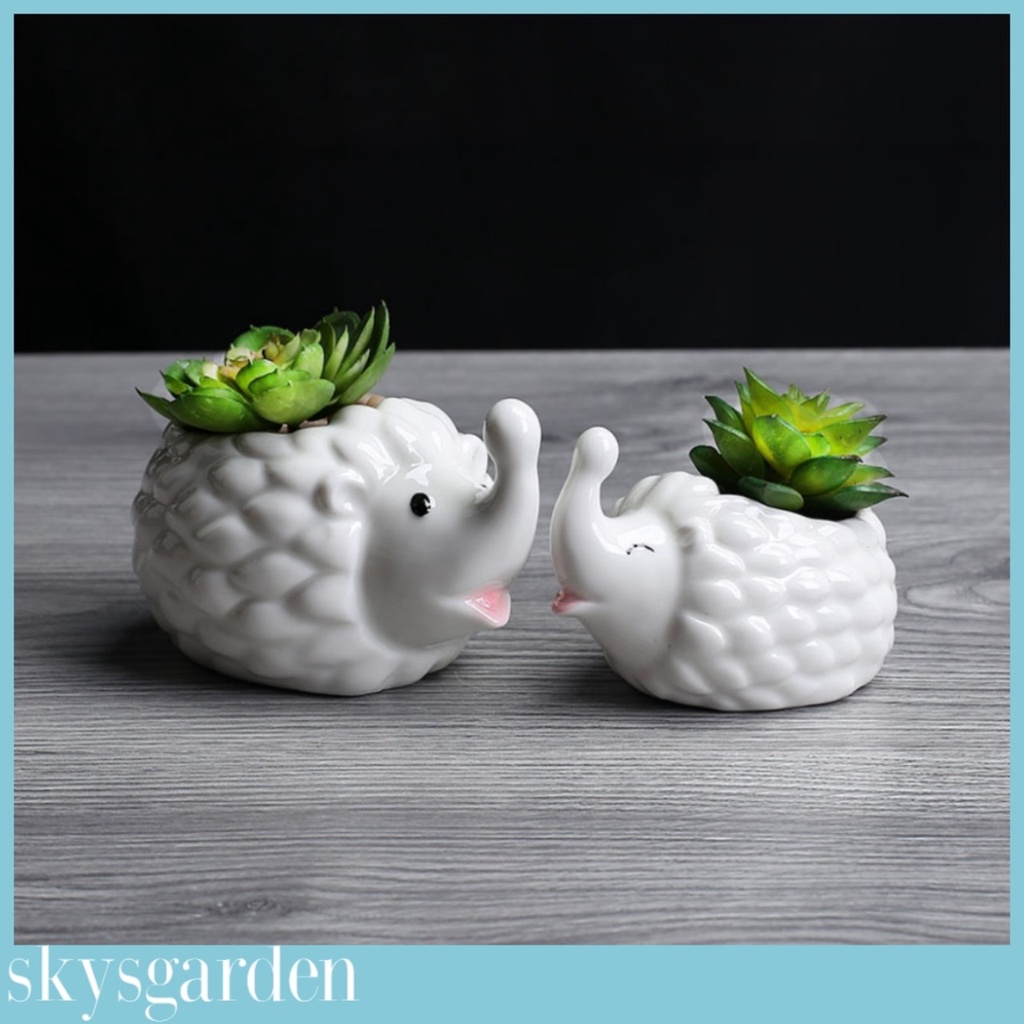 Chậu trồng cây sen đá xương rồng đôi nhím mẹ con có lỗ thoát nước làm quà tặng để bàn văn phòng cực xinh